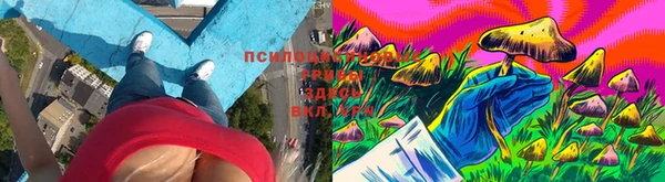 круглые Абаза