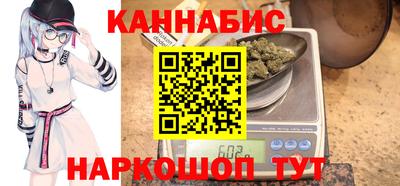 индика Шелехов