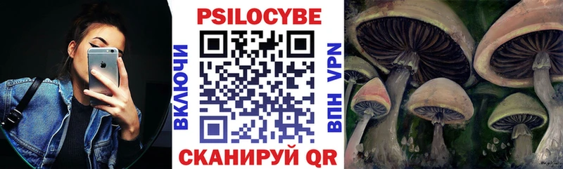 Галлюциногенные грибы Magic Shrooms  наркотики  Россошь 