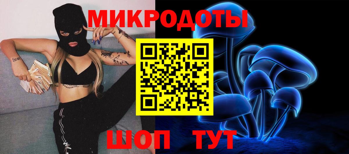 Псилоцибиновые грибы Cubensis Россошь