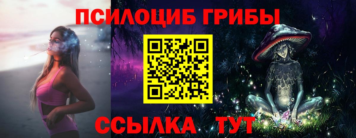 Галлюциногенные грибы мицелий  Вход с VPN  Россошь 